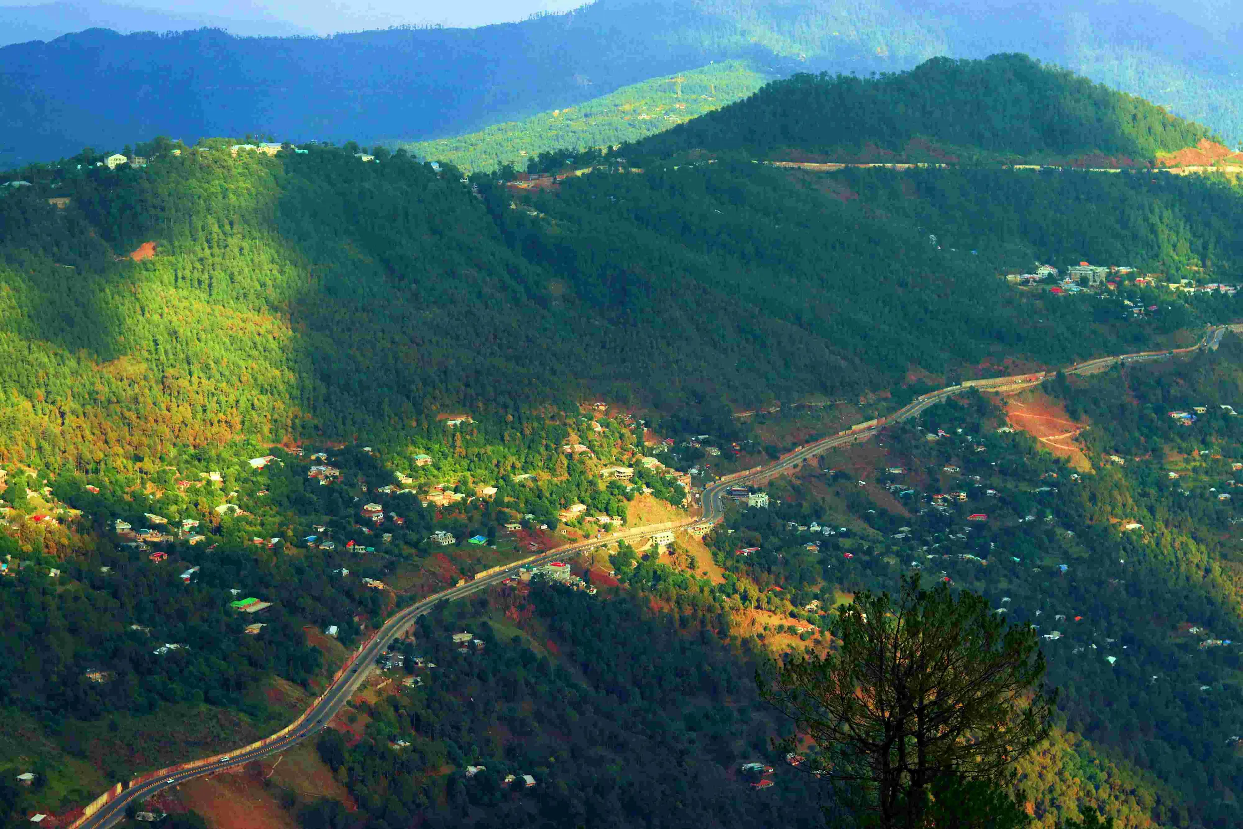 Best Hotels in Kalimpong - mesmerizing about Kalimpong