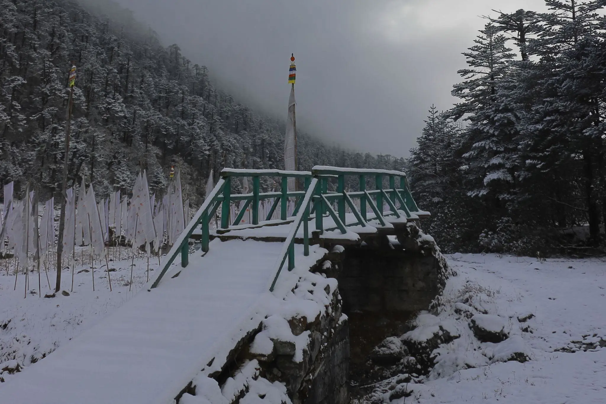 Yumthang Valley – The Valley of Flowers