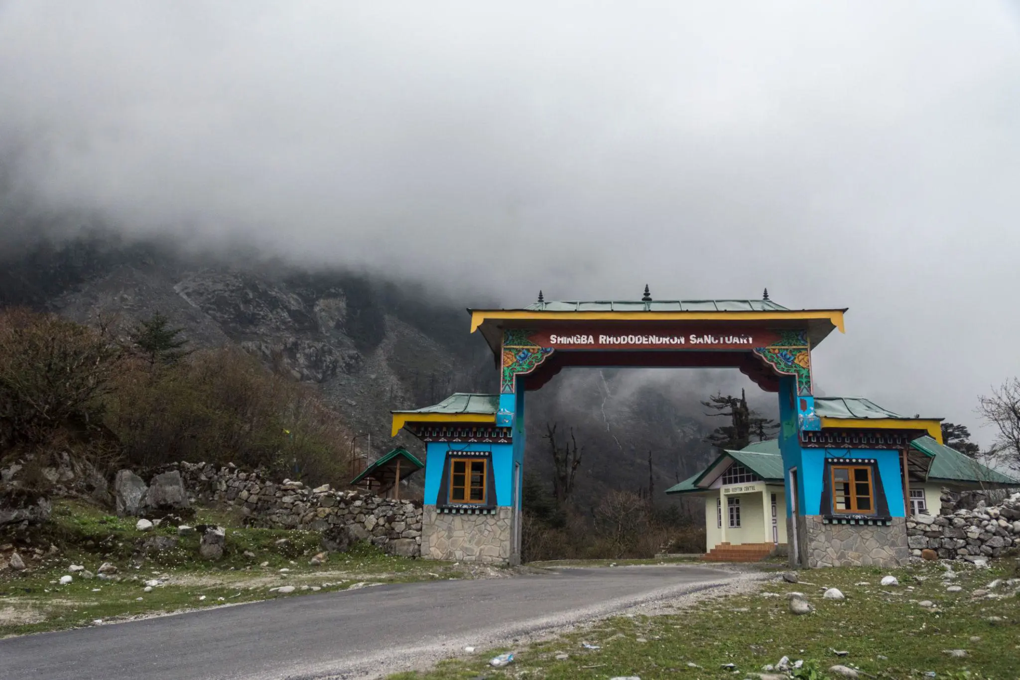 Shingba Rhododendron Sanctuary